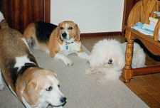 Esta, Barney & Tiffany