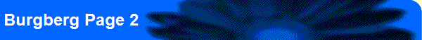 Burgberg Page 2
