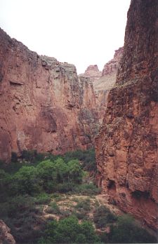 Havasupai Canyon